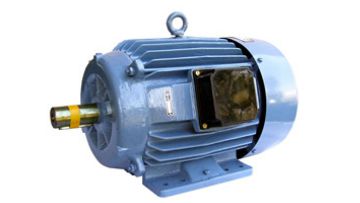  inverter duty motors