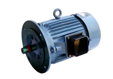 special mechanical designs electric motors