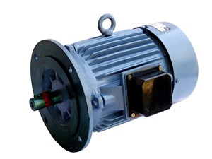 special_mechanical_designs_electric_motors